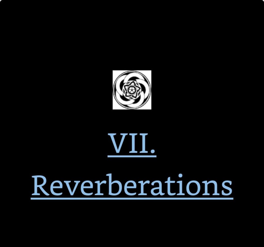 Kindle screenshot. Text reads: 

[chapter icon]
VII. Reverberations
