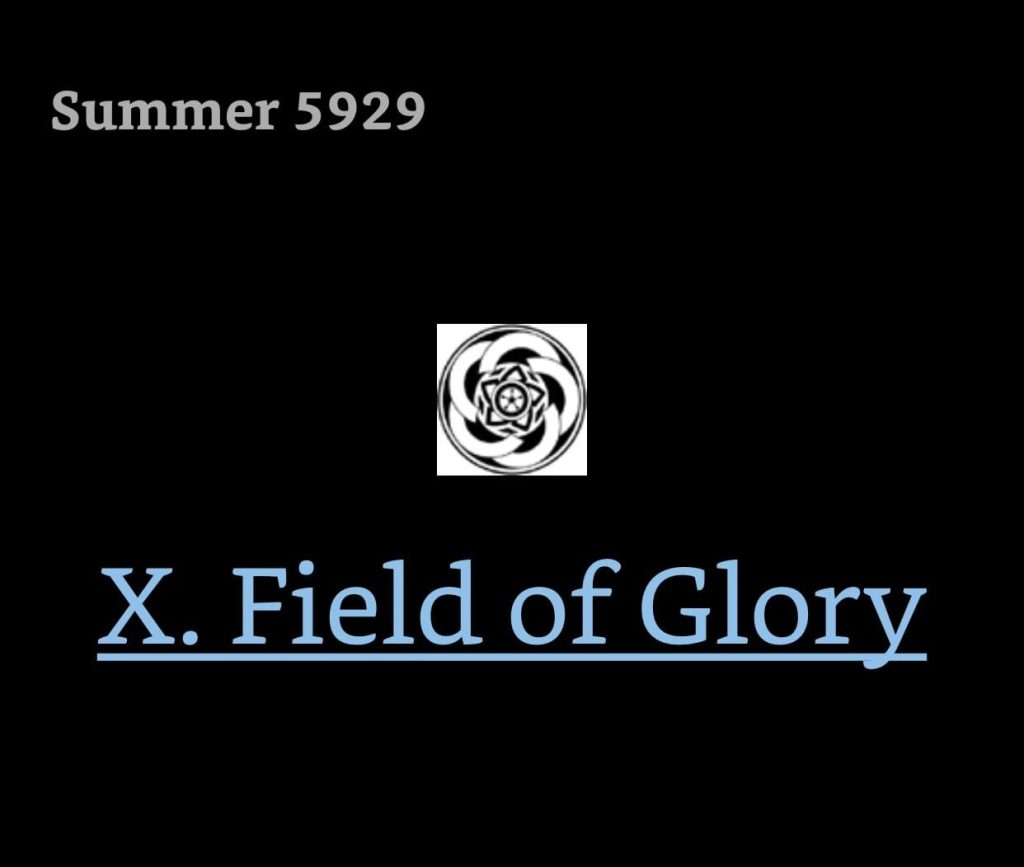 Kindle screenshot. Text reads: Summer 5929 [chapter header icon]

X. Field of Glory