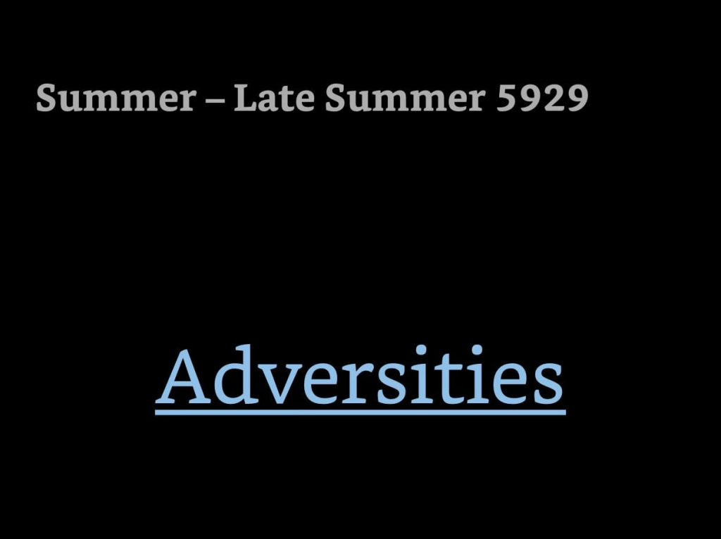 Kindle screenshot. Text reads:
Summer - Late Summer 5929
Adversities